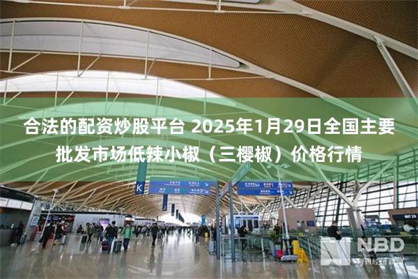 合法的配资炒股平台 2025年1月29日全国主要批发市场低辣小椒（三樱椒）价格行情