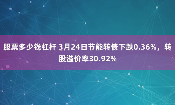 股票多少钱杠杆 3月24日节能转债下跌0.36%，转股溢价率30.92%