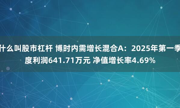 什么叫股市杠杆 博时内需增长混合A：2025年第一季度利润641.71万元 净值增长率4.69%