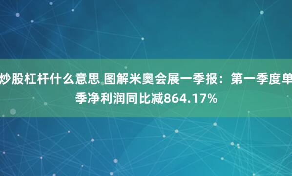 炒股杠杆什么意思 图解米奥会展一季报：第一季度单季净利润同比减864.17%