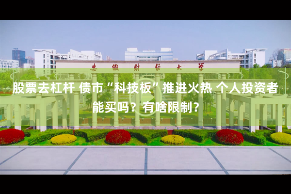 股票去杠杆 债市“科技板”推进火热 个人投资者能买吗？有啥限制？
