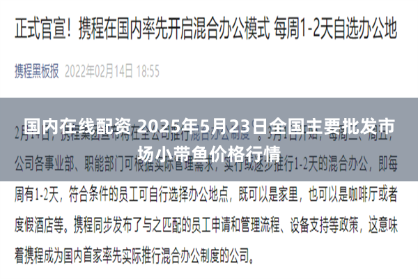 国内在线配资 2025年5月23日全国主要批发市场小带鱼价格行情