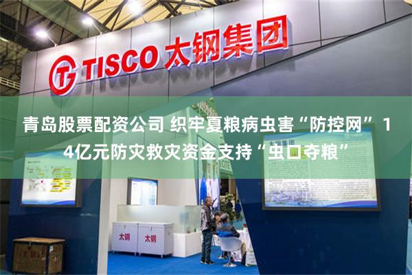 青岛股票配资公司 织牢夏粮病虫害“防控网” 14亿元防灾救灾资金支持“虫口夺粮”