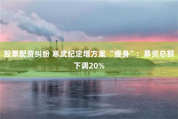 股票配资纠纷 寒武纪定增方案 “瘦身”：募资总额下调20%
