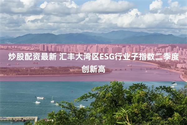 炒股配资最新 汇丰大湾区ESG行业子指数二季度创新高