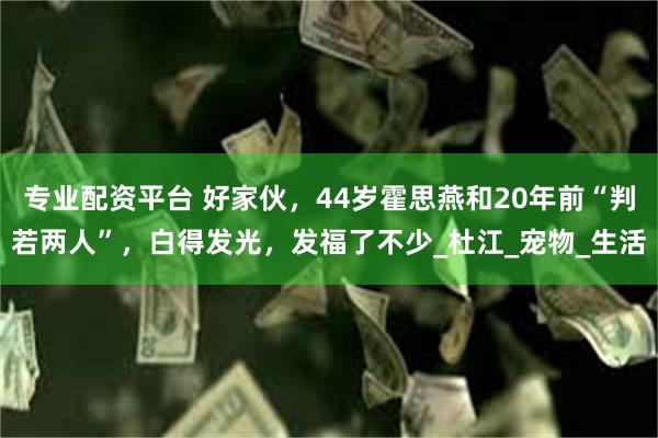 专业配资平台 好家伙，44岁霍思燕和20年前“判若两人”，白得发光，发福了不少_杜江_宠物_生活